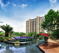 双杰·蓝海国际