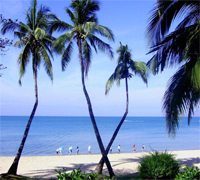 双杰·蓝海国际